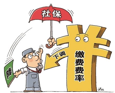 新變化！社保繳納費率下降，對線束加工廠有什么影響？