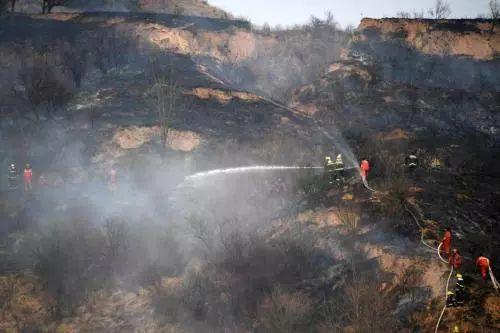 華宸宇.jpg 華宸宇.jpg